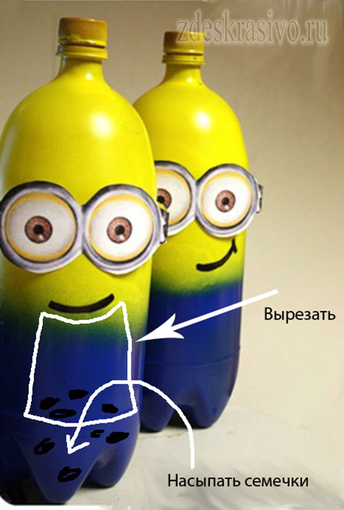 minion-kormushka